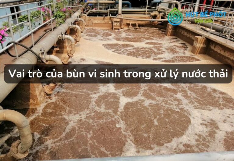 Bùn vi sinh là gì? Vai trò của bùn vi sinh trong xử lý nước thải hiện nay 5 Bùn vi sinh