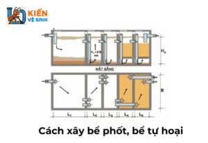 Cách xây bể phốt