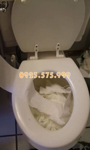 Giấy vệ sinh là một trong những nguyên nhân gây tắc bể phốt