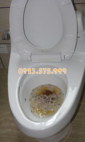 Bồn cầu không thể xả thải là dấu hiệu đầy bể phốt
