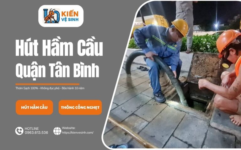 hút hầm cầu quận tân bình tại kiến vệ sinh