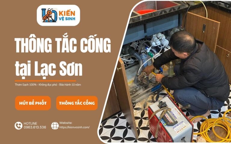 thong tac cong tai lac son