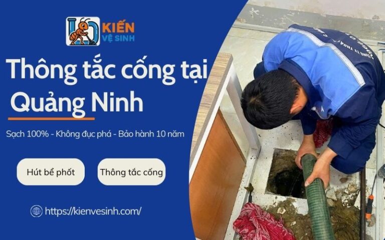 Dịch vụ thông tắc cống tại Quảng Ninh
