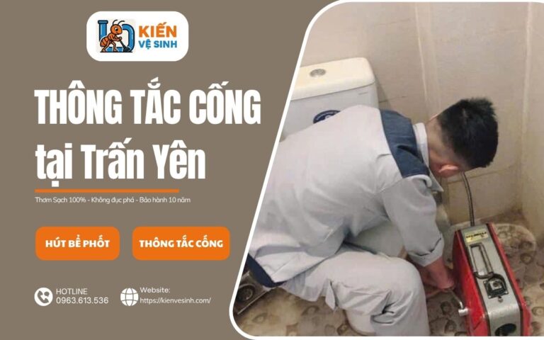 Dịch vụ thông tắc cống tại Trấn Yên của Kiến Vệ Sinh
